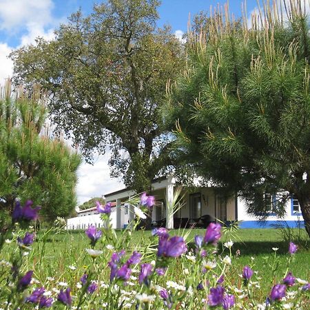 Monte Das Faias Cork Farm Hotel Grandola Bagian luar foto