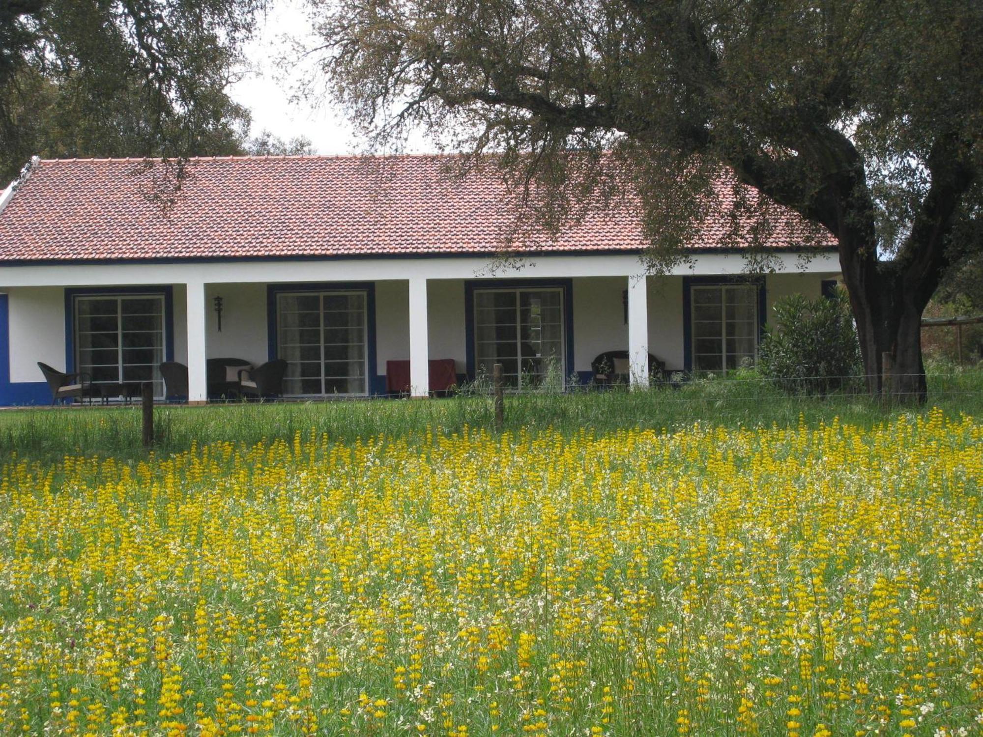 Monte Das Faias Cork Farm Hotel Grandola Bagian luar foto