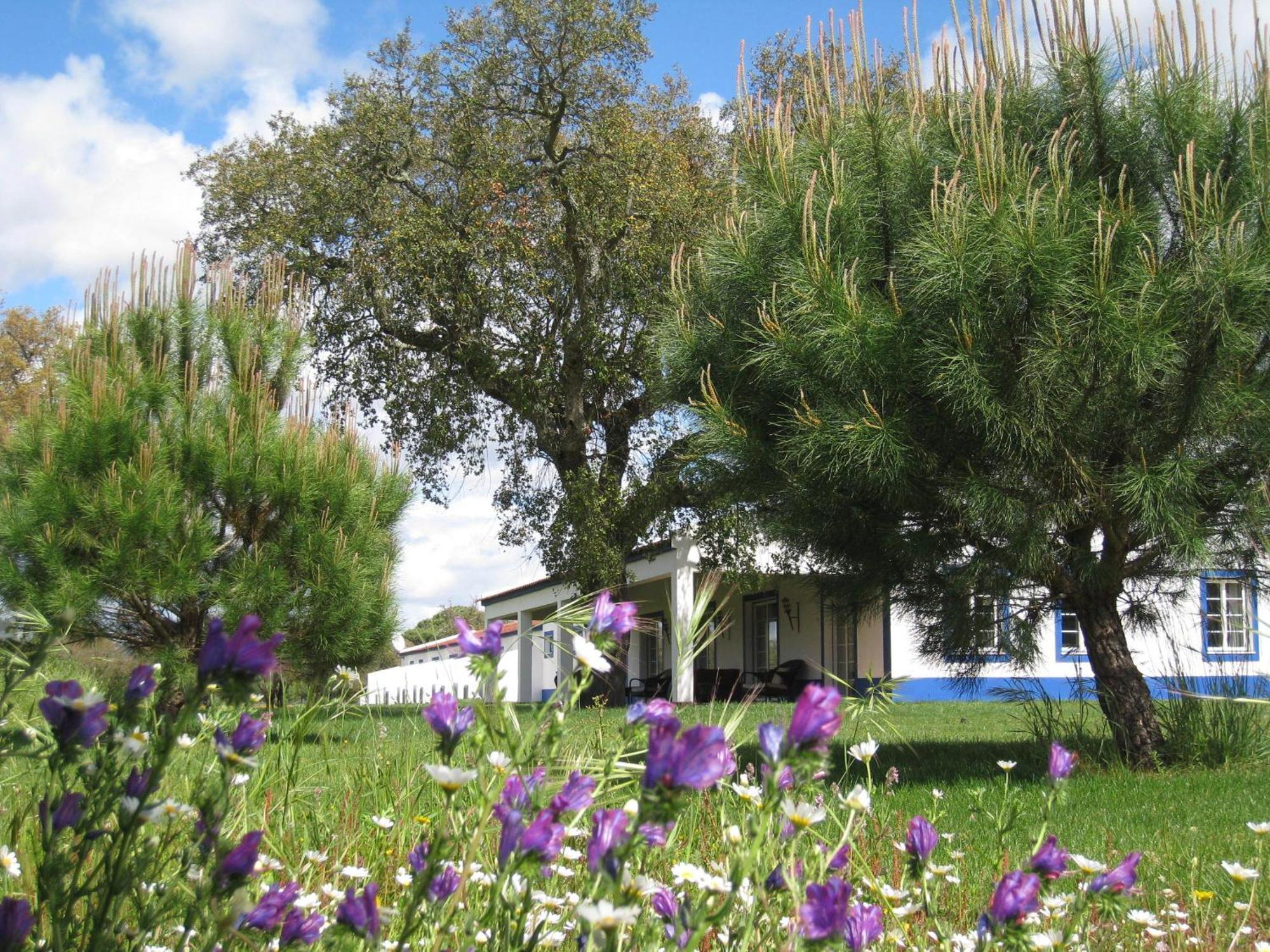 Monte Das Faias Cork Farm Hotel Grandola Bagian luar foto