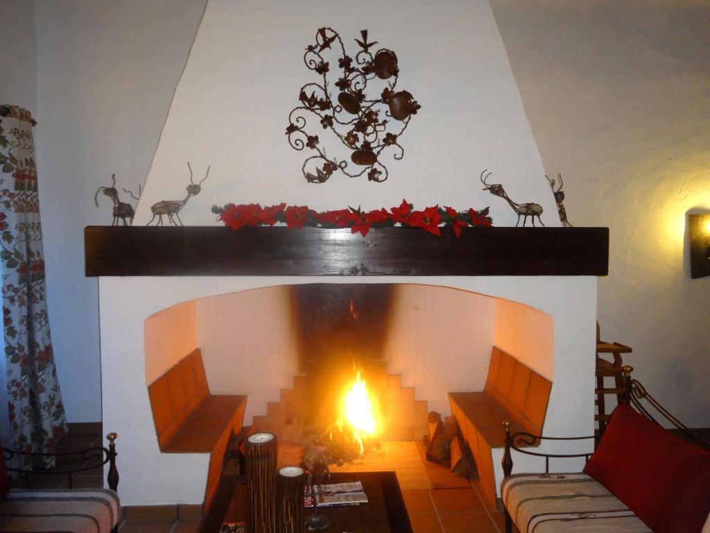 Monte Das Faias Cork Farm Hotel Grandola Bagian luar foto